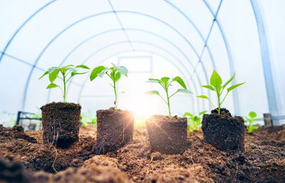 Spring Windows Installation